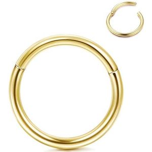 FIOROYAL G23 Titanium neusringen 20G 18G 16G 14G septum neusringen scharnier click ring voor lip Helix Tragus Daith Rook kraakbeen oorlel oorbellen conch piercing sieraden, Titanium, Geen edelsteen