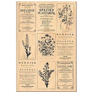 Florilèges Design FHA112037 stempel voor scrapbooking, herbier, beige, 15 x 10 x 2,5 cm