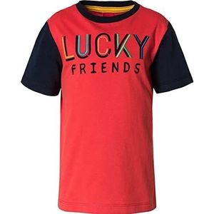 T-shirt voor jongens, 2608, 104-110, 2608