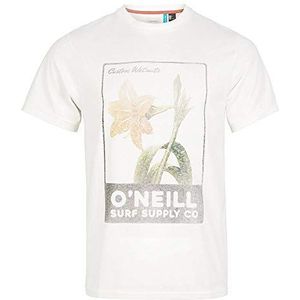 O'NEILL Lm Surf Supply heren t-shirt