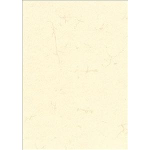 RNK 2859 olifantenbont papier A3, 190 g/m², 10 vel, wit