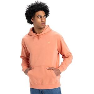 Quiksilver Salt Water Hoodie voor heren (1 stuk)