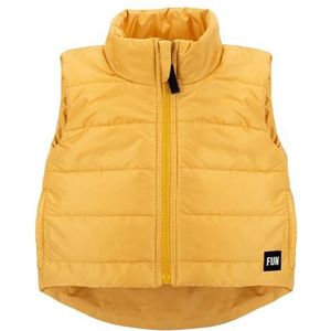 Pinokio Vest with Band, Pockets and Long Back Gilet Enfants Bébé, YELLOW FUN TIME, 104