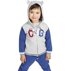 Top Top Rolera Baby Hoodie Multicolor 9-12 Maanden, Meerkleurig