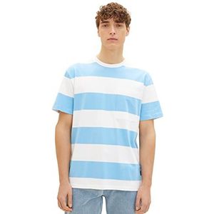 TOM TAILOR Denim Heren T-Shirt 31362 - Blue Large Stripe, L, 31362 - blauwe grote streep