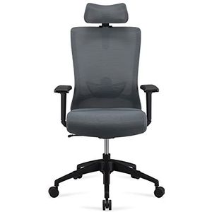 Amazon Basics (voorheen Movian) Ergonomische bureaustoel met hoge rugleuning en hoofdsteun, verstelbare armleuningen en lendensteun, grijs, 63 x 59,5 x 124 cm