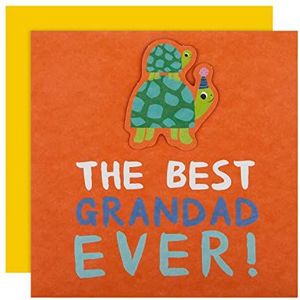 Hallmark Vaderdagkaart voor grootvader - schattige schildpad