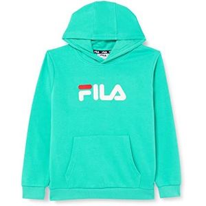 Fila Sande Classic Logo Sweatshirt met capuchon, uniseks, kinderen, Turkoois