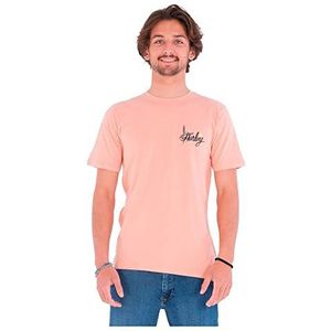 Hurley EVD Wash Parrot Bay T-shirt voor heren, Pink Quest