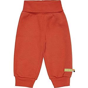 Loud + Proud Interlock, GOTS Zertifiziert Pantalons, Cinnamon, 74/80 Enfants Unisexes