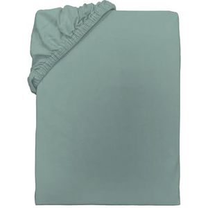 TOM TAILOR Drap de chambre en jersey, environ 180-200x200 cm, 100% coton/jersey, vert UNI (eucalyptus)