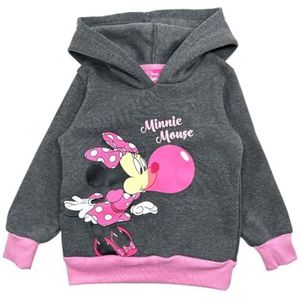 Sweat à Capuche Minnie, Confort et Style, Design Minnie Mouse pour Enfants, Gris, 5 ans