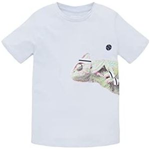 TOM TAILOR 1036035 Chameleon T-shirt voor kinderen, jongens, 1 stuk, 31664 Summer Lilac
