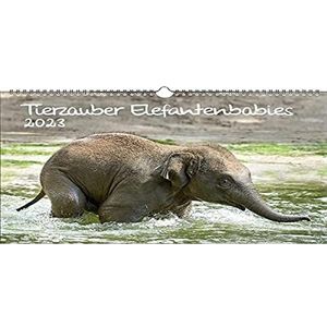 Olifant babykalender A3 2023 olifant