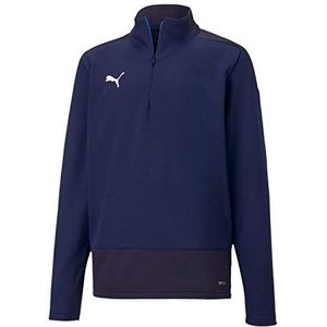 Puma Teamgoal 23 Training 1/4 Zip Top Jr Pullover Jongen, Electric Blue Lemonade-Team Power Blue, 116