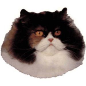 World Stickers Schwandt Huisdierbenodigdheden 12509 Stickers 4 stuks ca. 80 x 80 mm voor waarschuwingsbord Perzische kat