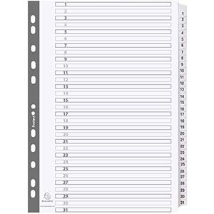 Exacompta MWD1-31Z register van karton 1-31 voor DIN A4 - 31 stuks - totale hoogte 21 x 29,7 cm - wit - versterkte tabbladen met indexpagina's - register