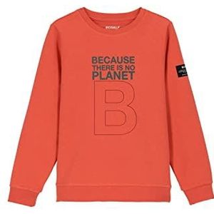 ECOALF - Sweatshirt met ronde hals ""Great B"" GASTGREAB8001BS22 in de kleur oranje - kindersweatshirt, Oranje