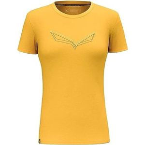 Salewa Pure Eagle Frame Dry W Tshirt, T-Shirt de Sport Mixte