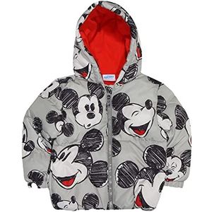 Disney Mickey Mouse-Skizze-AOP vleugel jas 116-170 Merce Ufficialee, Grau