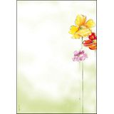 SIGEL DP123 briefpapier, 21 x 29,7 cm, 90 g/m², lentebloemen, geel, rood, groen en roze, 50 vellen