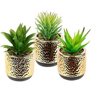 Set mini vetplanten in gouden keramische pot met decoratieve stenen - Kunstplanten in pot - Groene planten - Agave - Cactus - Kamerplant
