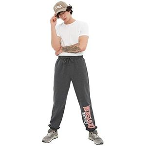 Trendyol Trendyol Heren Jonge Normale Maat Casual Joggingbroek Heren Trainingsbroek (1 stuk), Antraciet