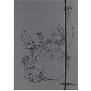 Clairefontaine 813011C - een elastische map met 3 kleppen, motief ""Asterix Zrayonnés"", grijze achtergrond