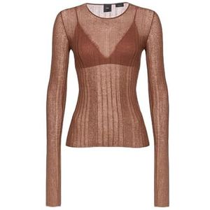 Pinko Alchemilla T-shirt à crêpe transparent à manches longues sans col pour femme, Ll1_marron/cuir, XL