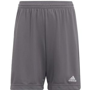 adidas Entrada 22 Shorts uniseks kinderen