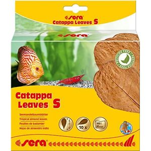 sera Catappa Leaves maat S 10 - 15 cm, 10 stuks