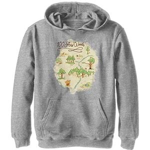 Disney Winnie de Poeh 100 Acre Map Boy's Hoody Fleece grijs gemêleerd Athletic S, atletisch grijs gemêleerd