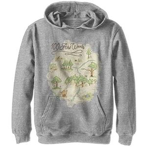 Disney Winnie de Poeh 100 Acre Map Boy's Hoody Fleece grijs gemêleerd Athletic S, atletisch grijs gemêleerd