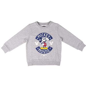 CERDÁ LIFE'S LITTLE MOMENTS 2200006496_T4L-C53 Sweatshirt grijs Mickey-licentie Disney L Unisex Volwassenen Grijs, One Size, grijs.