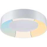 Paulmann HomeSpa Casca 78947 Led-plafondlamp, 3200 lumen, 230 V, dimbaar, van metaal en kunststof, 3000 K, wit