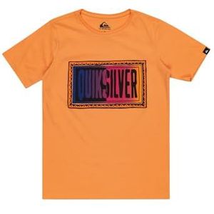 Quiksilver T-shirt pour garçon Day Tripper SS