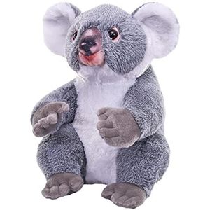 Wild Republic - Artist Collection Koala, 27560