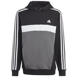 Adidas Sportswear Hoodie Zwart/Wit/Grijs
