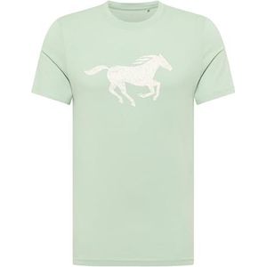 Style Austin, Frosty Green 6180, S