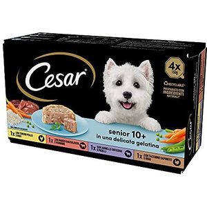 Cesar Senior 10+, hondenvoer voor oudere honden, verschillende selectie, 150 g, 24 bakken - 3600 g