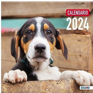 Dohe - Wandkalender 2024 - Binding in nietje - Afmetingen: 30x30 cm - Met wandperforatie en Planning 2024 - Hondenmodel