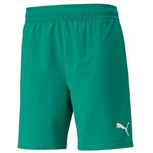 PUMA Teamfinal shorts voor heren