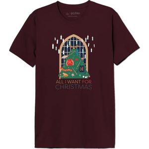 HARRY POTTER T-Shirt, Burgundy, 3XL, Bourgondië