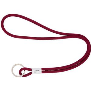 Pantone sleutelhanger, 18 centimeter, rood (Aubergine 229)