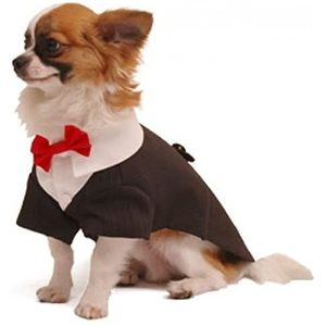 Pooch Outfitters PRRT-XL Ruff Tux honden, Tuxedo, maat XL