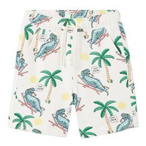 TOM TAILOR 1041725 Trainingsbroek voor kinderen, jongens, 1 stuk, 35322 - Dino Holiday Design