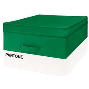 SWEET HOME Pantone™ Opbergorganizer voor voorwerpen en kledingrek + parfumtas, opvouwbaar, van karton, opbergdoos voor kinderen en kleding, 40 x 50 x 25 cm, groen