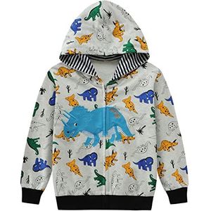 Little Hand Sweatshirt met capuchon voor kinderen, jongens, lange mouwen, trui met capuchon, sweatshirt voor jongens, Dinosaurus 3