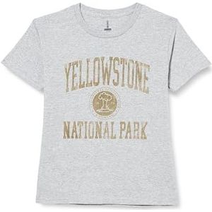 National Park T- Shirt Homme, Gris Melange, XXL