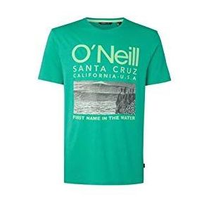 O'NEILL LM Surf T-shirt voor heren, korte mouw, groen (Salina Green)